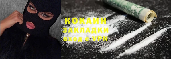 стаф Алексин