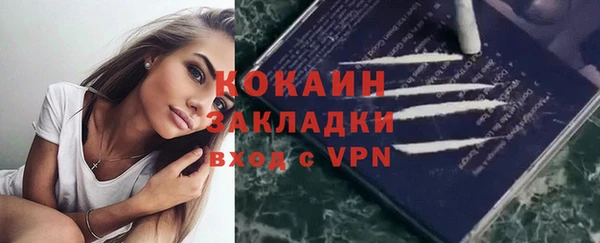 стаф Алексин