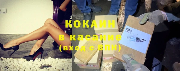 стаф Алексин