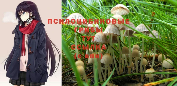 стаф Алексин