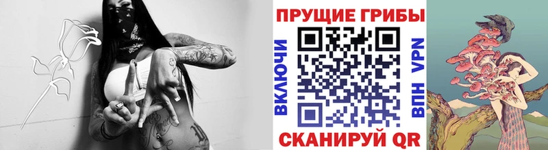 Псилоцибиновые грибы прущие грибы  Копейск 